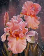 Rosa Iris Diamond Painting