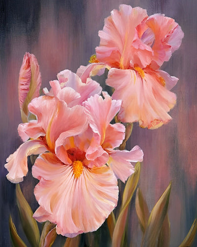 Rosa Iris Diamond Painting