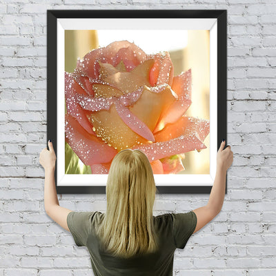 Rosa Rose mit Tautropfen Diamond Painting