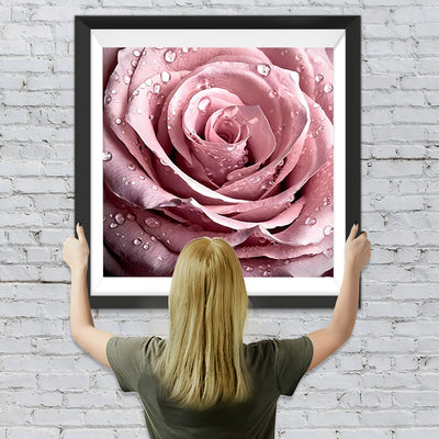 Rosa Rose mit Wassertropfen Diamond Painting