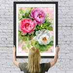 Rosa, rote und weiße Pfingstrosen Diamond Painting