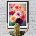 Rosa und rote Chrysanthemen Diamond Painting