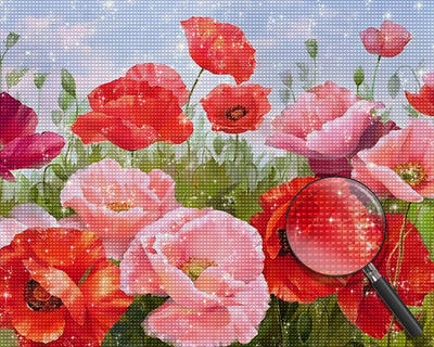 Rosa und rote Mohnblumen Diamond Painting