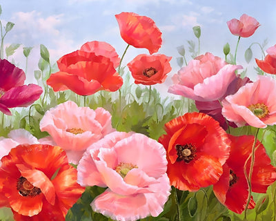 Rosa und rote Mohnblumen Diamond Painting