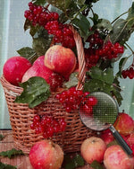 Rote Äpfel im Korb Diamond Painting