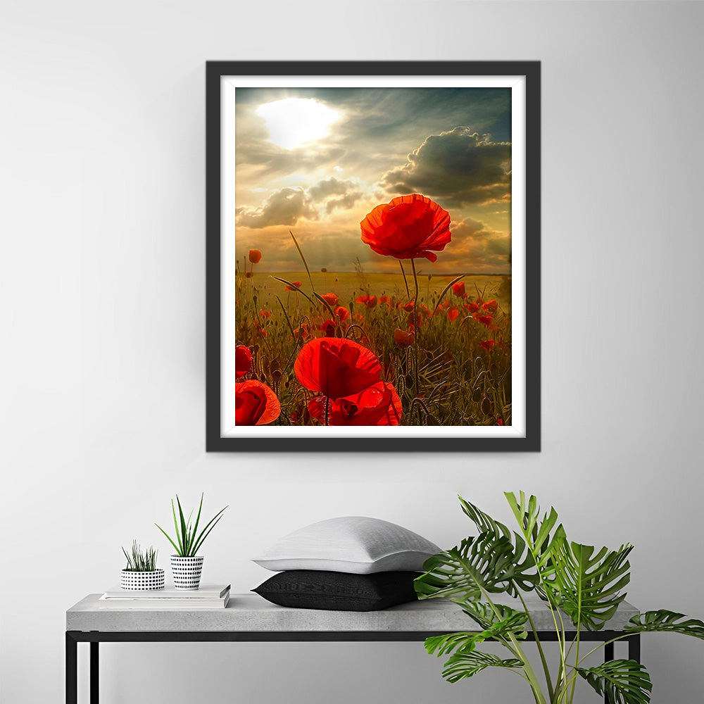 Rote Mohnblumen unter den dunklen Wolken Diamond Painting