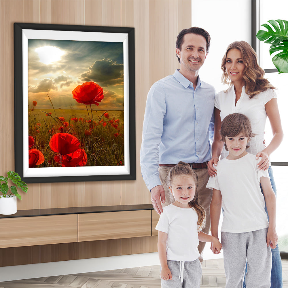 Rote Mohnblumen unter den dunklen Wolken Diamond Painting