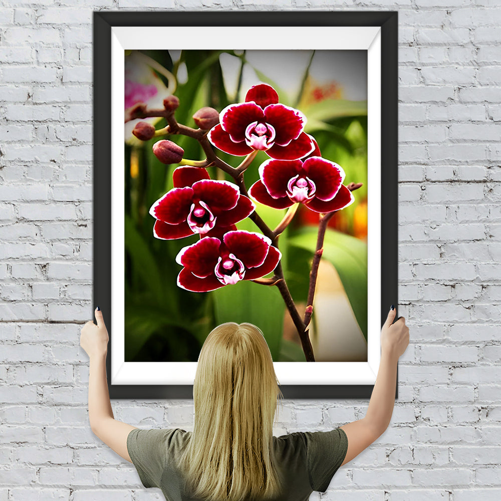 Rote Phalaenopsis Diamond Painting