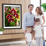 Rote Phalaenopsis Diamond Painting
