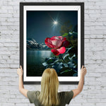 Rote Rose am Strand in der Nacht Diamond Painting