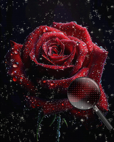 Rote Rose im Dunkeln Diamond Painting
