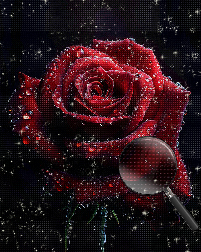 Rote Rose im Dunkeln Diamond Painting