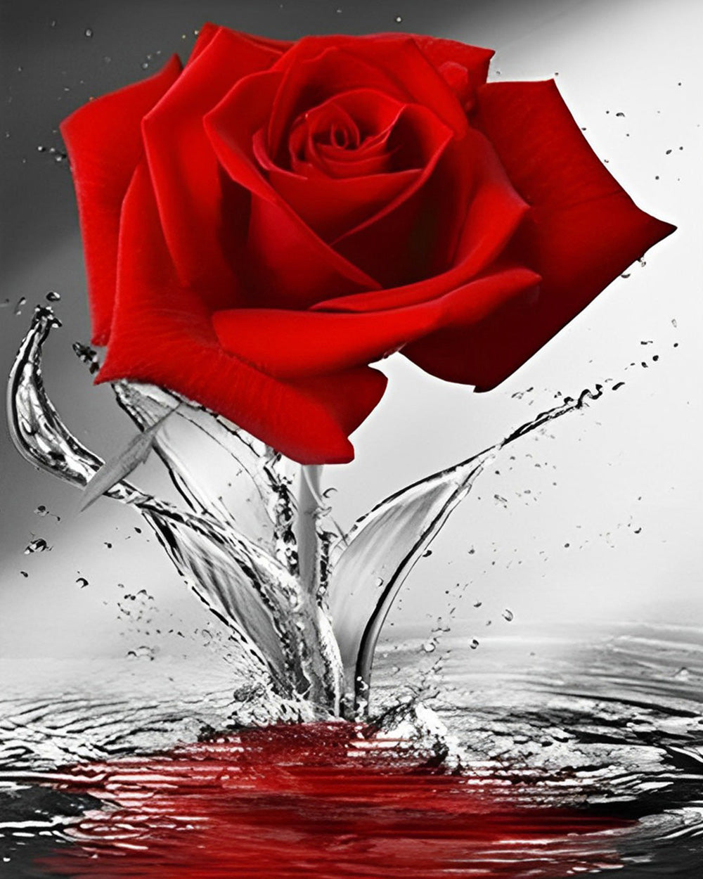Rote Rose im Wasser Diamond Painting