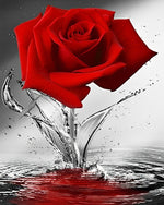 Rote Rose im Wasser Diamond Painting