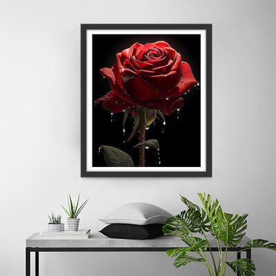 Rote Rose in der Dunkelheit Diamond Painting