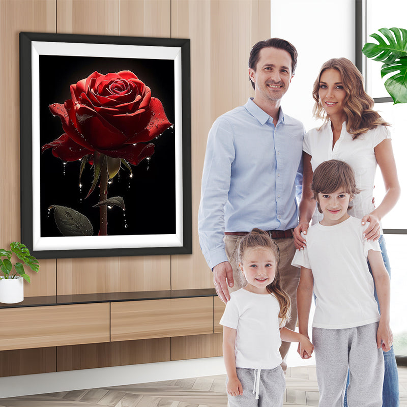 Rote Rose in der Dunkelheit Diamond Painting