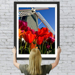 Rote Tulpen und Windrad Diamond Painting
