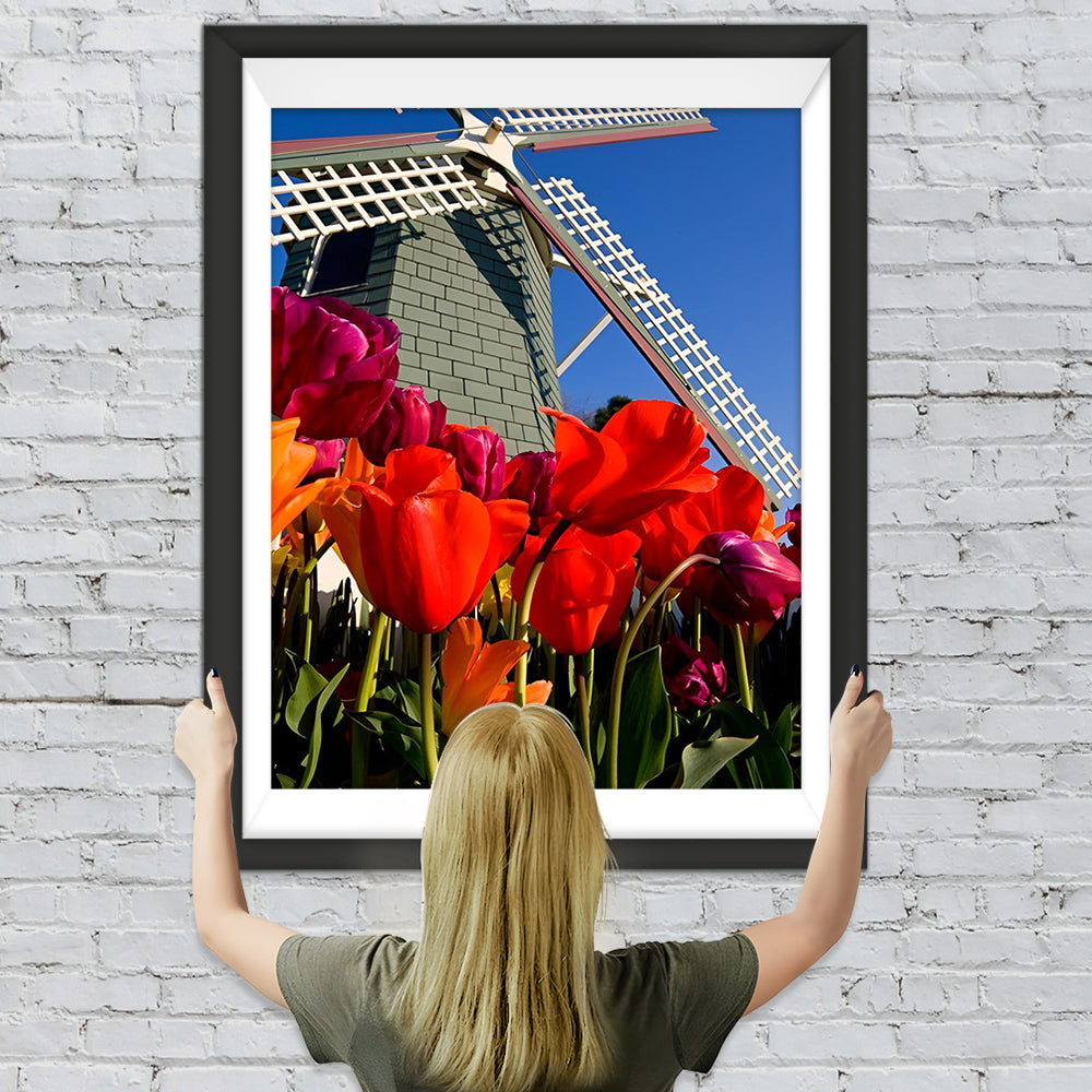 Rote Tulpen und Windrad Diamond Painting