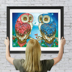 Rote und blaue Eule Diamond Painting