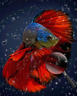 Roter Fisch Diamond Painting