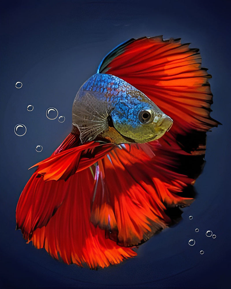 Roter Fisch Diamond Painting