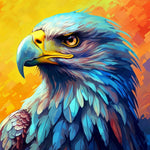 Schlaukopf-Seeadler Diamond Painting