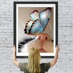 Schmetterling auf der Nase der Katze Diamond Painting
