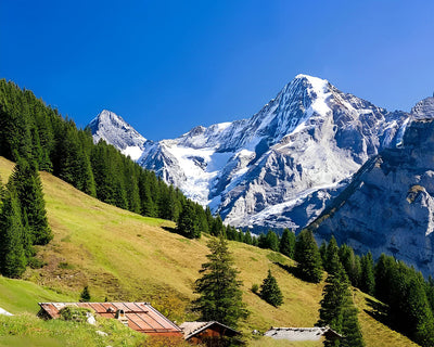 Schneeberg und Grünkiefernhang Diamond Painting