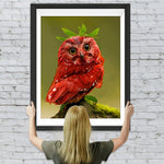 Schöne rote Eule Diamond Painting