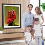 Schöne rote Eule Diamond Painting