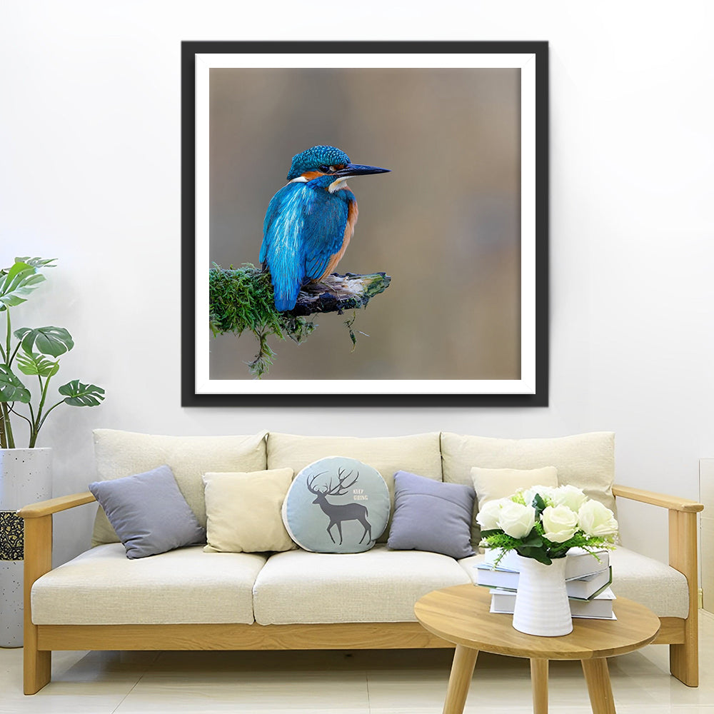 Schöner blauer Vogel Diamond Painting