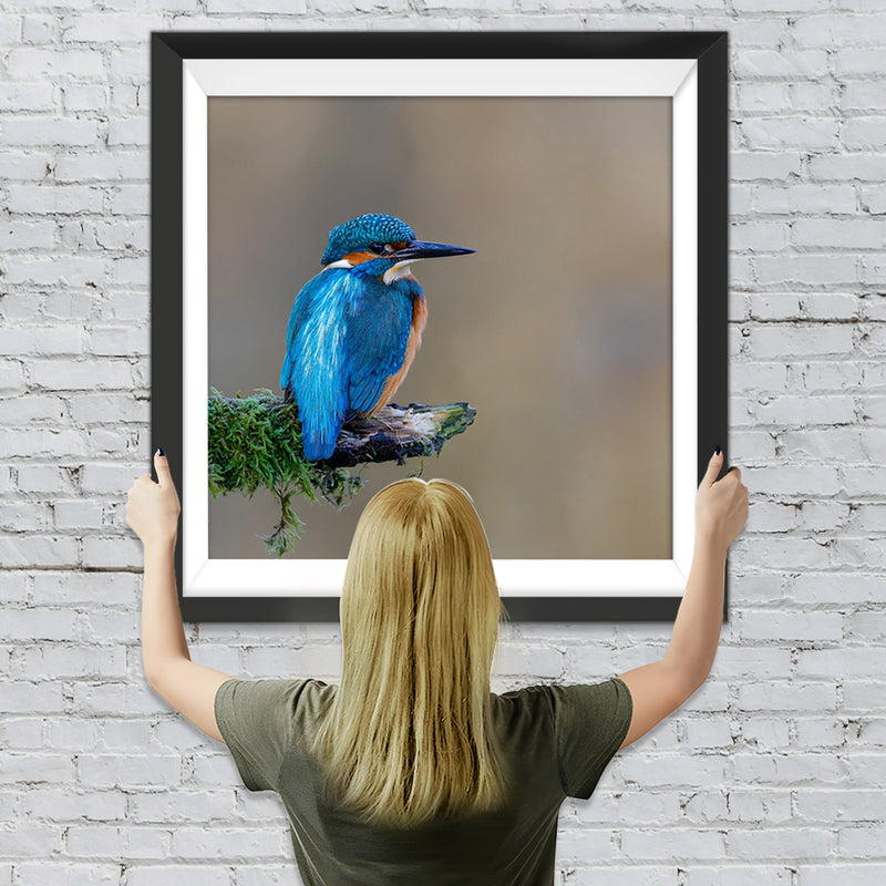 Schöner blauer Vogel Diamond Painting