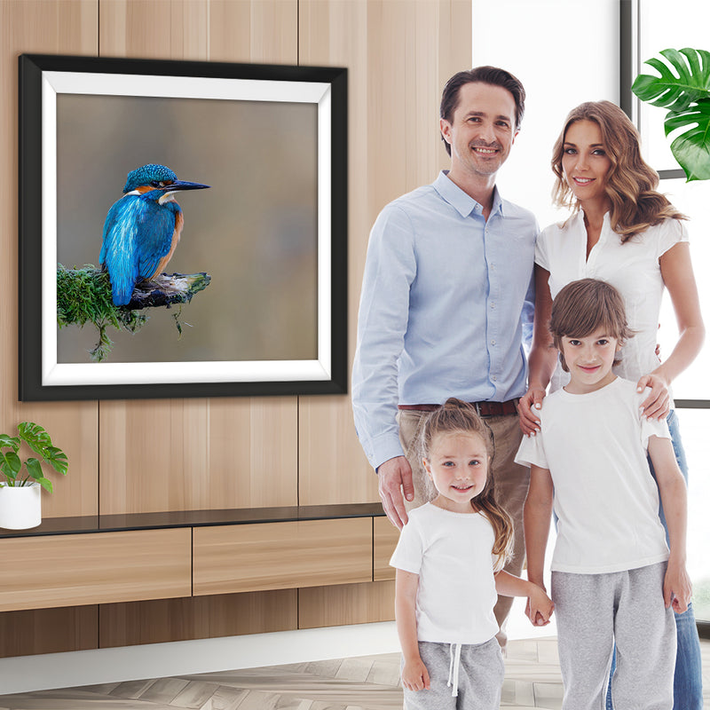 Schöner blauer Vogel Diamond Painting
