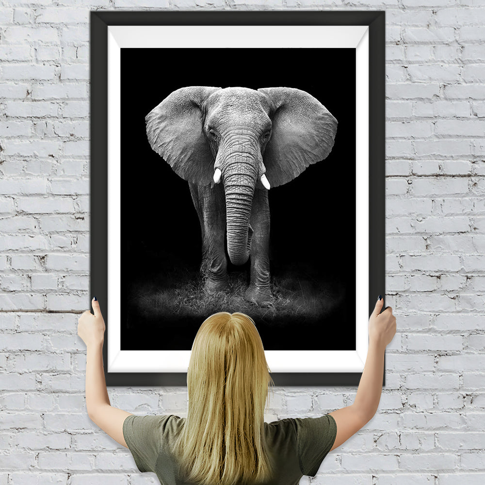 Schwarz-weißer Elefant Diamond Painting