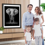 Schwarz-weißer Elefant Diamond Painting