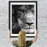 Schwarz-weißer Löwe Diamond Painting