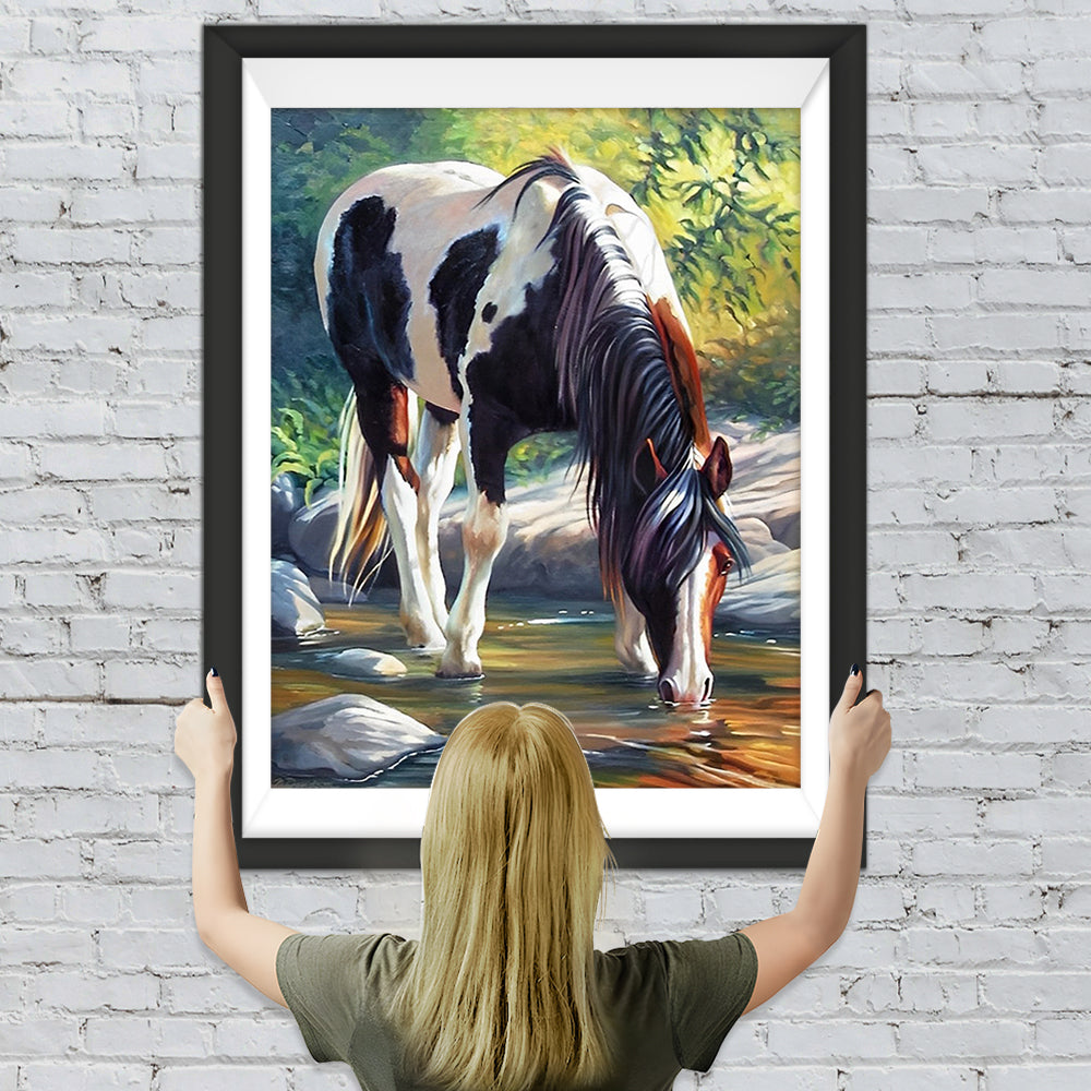 Schwarz-weißes Pferd am Wasser Diamond Painting