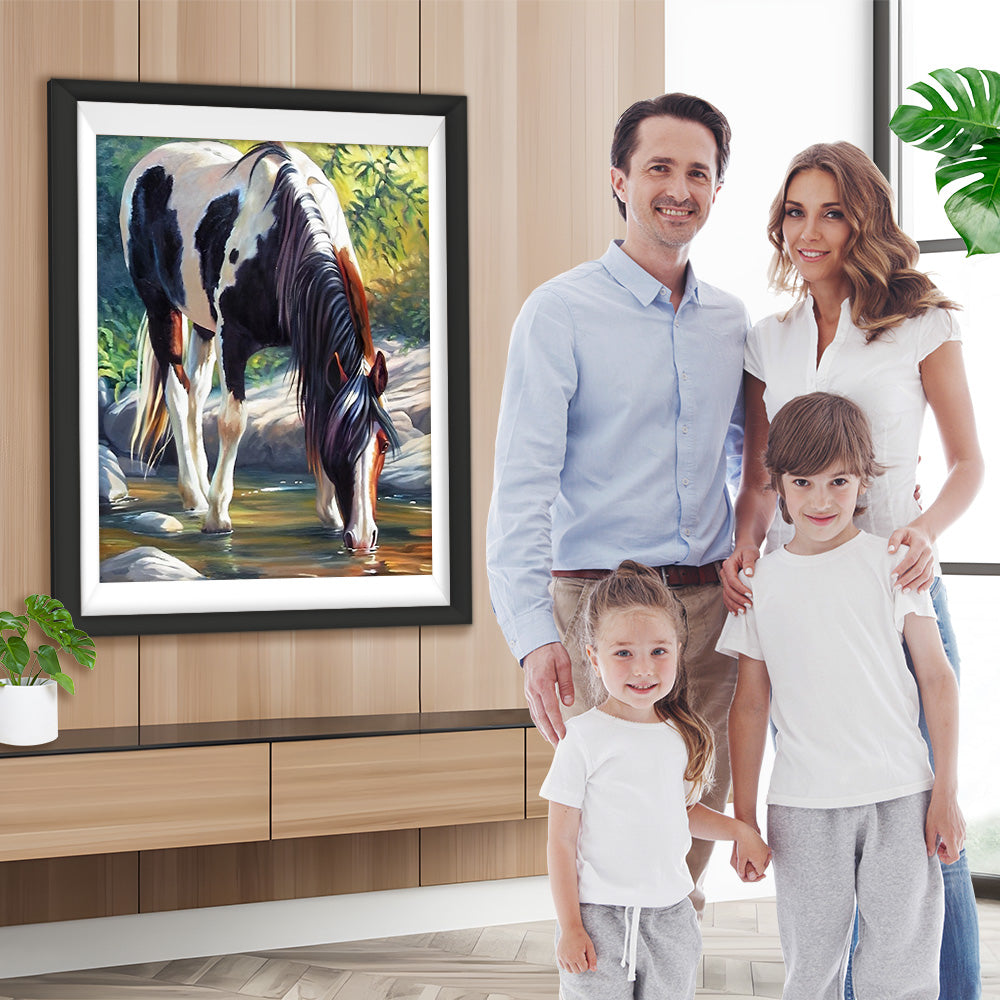 Schwarz-weißes Pferd am Wasser Diamond Painting