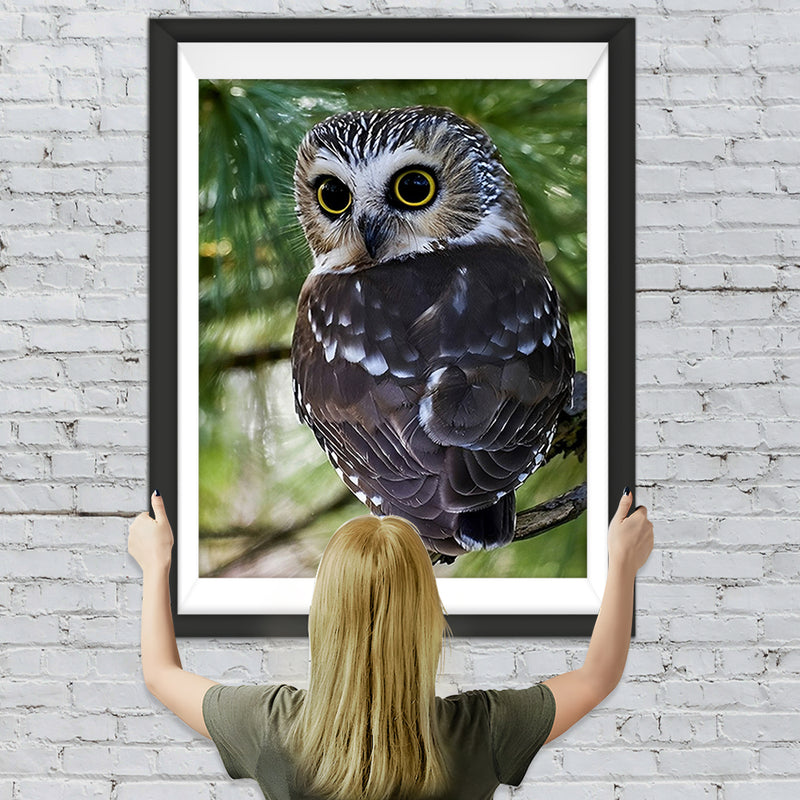 Schwarze Eule Diamond Painting