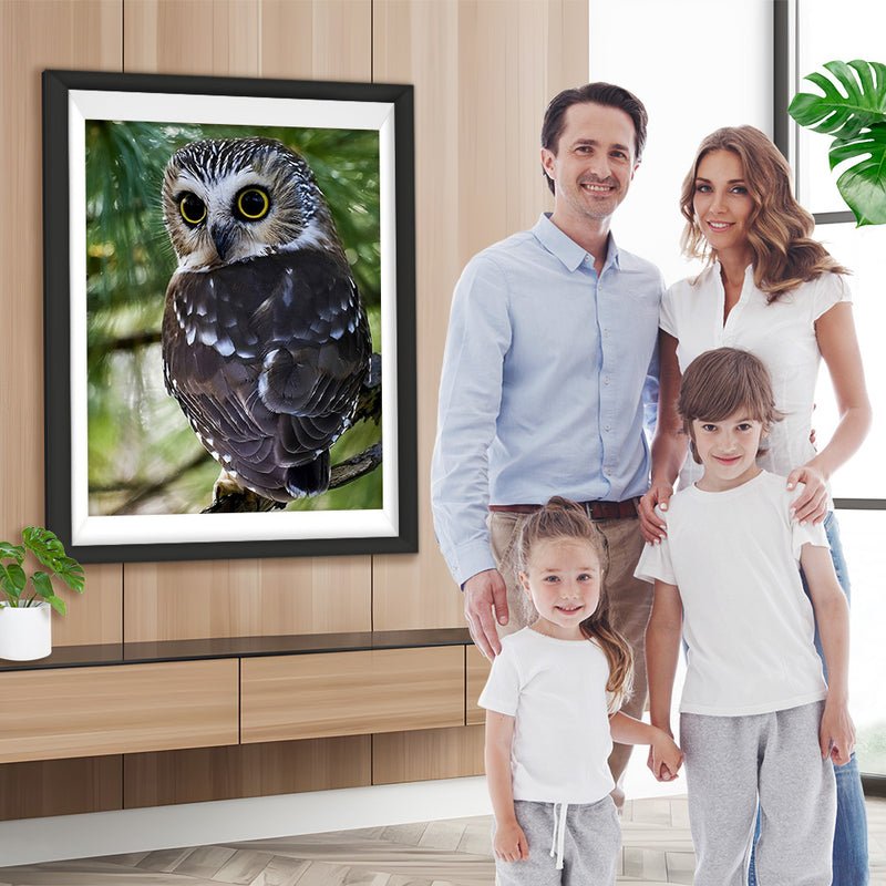 Schwarze Eule Diamond Painting