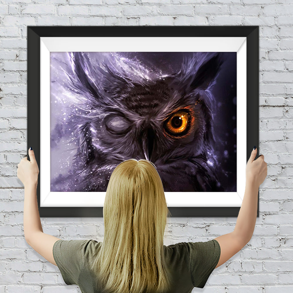 Schwarze Eule mit einem Auge Diamond Painting