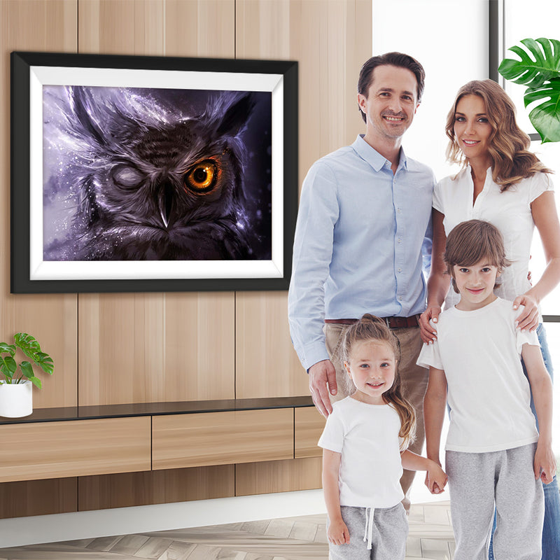 Schwarze Eule mit einem Auge Diamond Painting