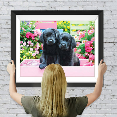 Schwarze Hunde in rosa Box Diamond Painting