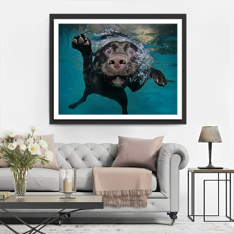 Schwarzer Hund im Wasser Diamond Painting