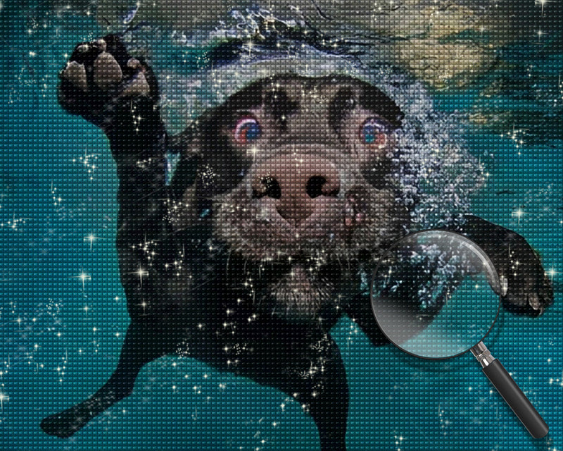 Schwarzer Hund im Wasser Diamond Painting