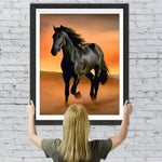 Schwarzes Pferd läuft in der Wüste Diamond Painting