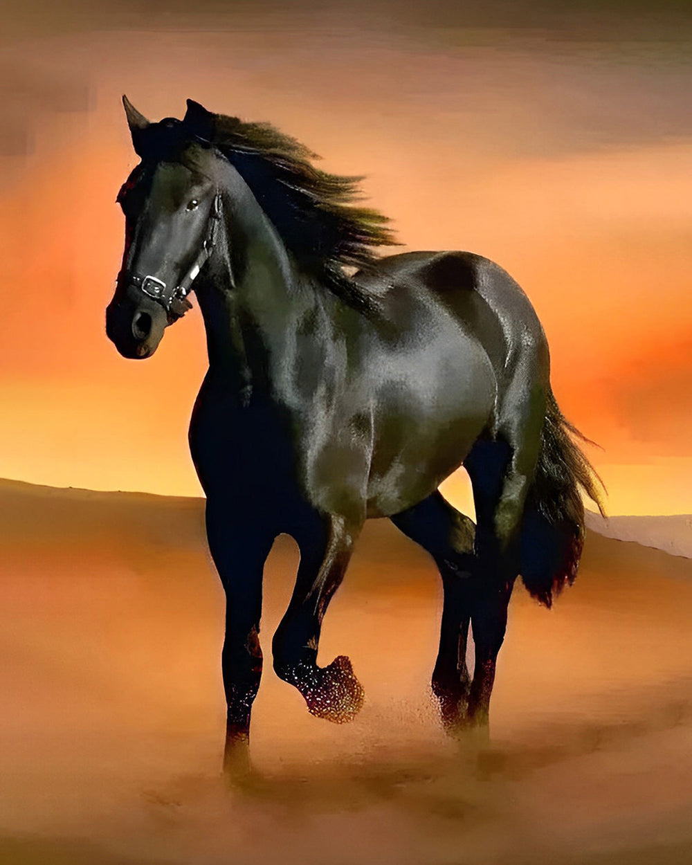 Schwarzes Pferd läuft in der Wüste Diamond Painting