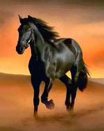 Schwarzes Pferd läuft in der Wüste Diamond Painting