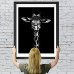 Schwarzweiße Giraffe Diamond Painting