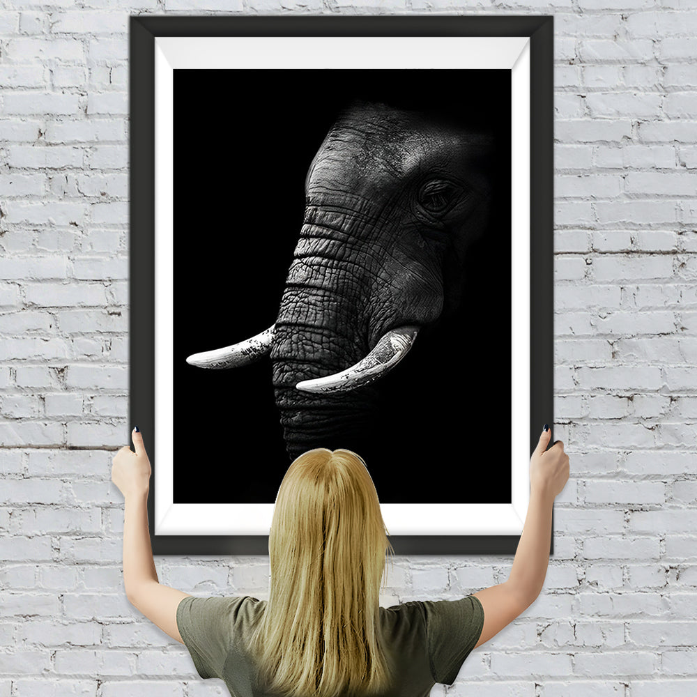 Schwarzweißer Elefant Diamond Painting